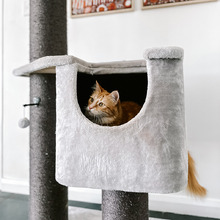 158cm Playground Condo Cat Tree